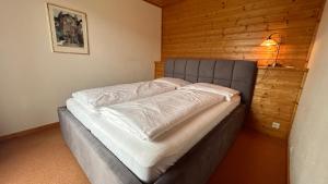 Pension Edelweiß Mitterberg