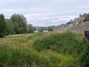 Appartements Grand T2 centre historique d- Amboise-bords de Loire : photos des chambres