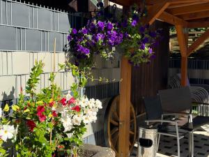 Ferienwohnungen Abendsonne - 8 Gehminuten zum EP