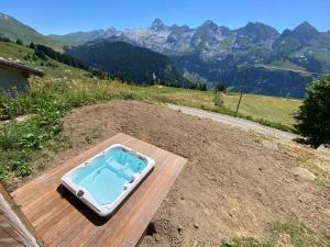 Alpage la Grand Montagne 1858