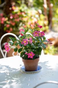 Appartements La ferme Saint-Antoine : photos des chambres