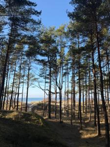 Apartamentai-butas “MANO JŪRA” komplekse