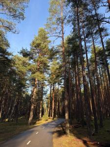 Apartamentai-butas “MANO JŪRA” komplekse