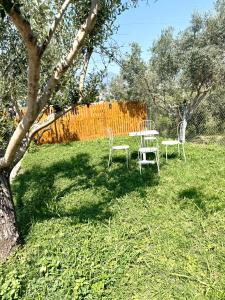 Escape to Nature Calm inTirana