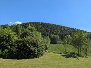 B&B / Chambres d'hotes La Maison de Marie : Chambre Lits Jumeaux - Vue sur Jardin