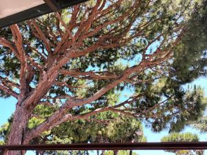 A due passi dal mare