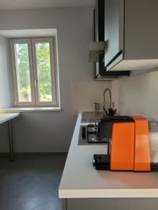 Apartment with Mountain View