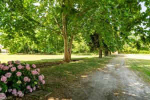Fontanile Garden Villa