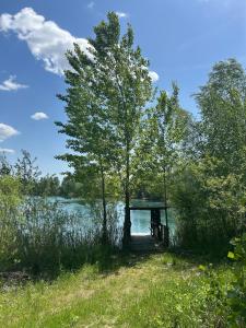 Lotus apartman on the Lake