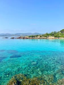 Olbia Conad 2 img12