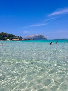 Olbiamare 44 img10