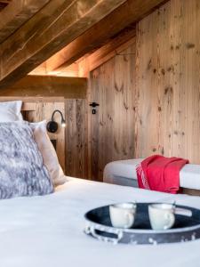 Villas Chalet Double M I Le Chalet Club : photos des chambres