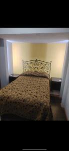 THE GREEN HOUSE BY E&M Familiar