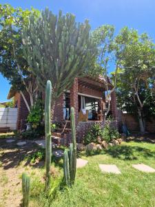 Surf Stoke Cottage
