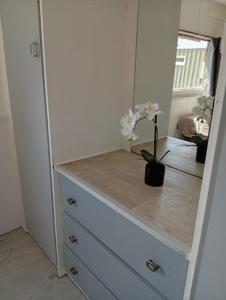 Campings Mobil-Home avec piscine et jardin 1500 m2 : photos des chambres