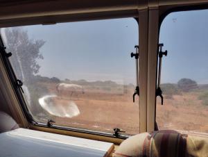 Uljanas caravana for 2 with view of the rescued horses