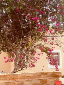 Star Emirates Garden Villas Salalah