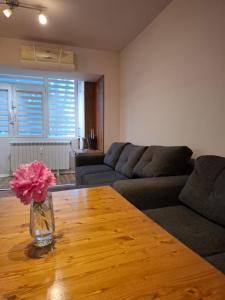 Accommodation apartment MARGARITA