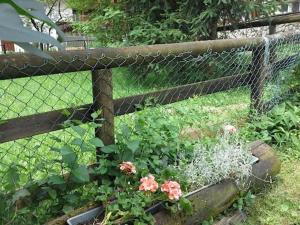 Appartamento Niki Campitello