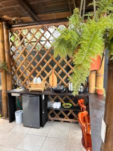 Bambuk Bio Dome Uvita beach front