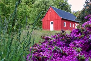 Ferienhaus Gipfelblick im Sandsteinidyll