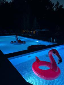 Jurajskie Apartamenty