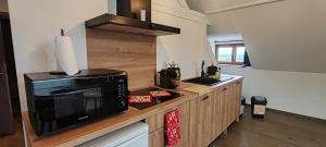 Appartements La maison des vignerons - Le Hahnenberg : photos des chambres
