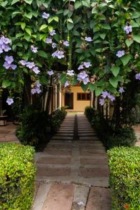 Tranquil 2BR 2BA Corteza Condo Gated Private Patio Pools Jacuzzi and BBQ Just 2 km from Beach and Downtown Jaco