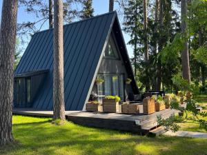 Pine house with sauna and hot tub