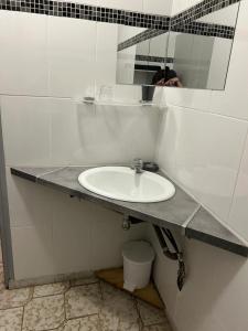 Appartements Appartement confortable a Marignana, 50 m² avec 3 chambres : photos des chambres