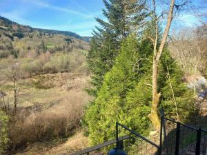 Appartements L-edelweiss : Appartement 1 Chambre