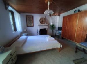 Trikeri traditional cozy house