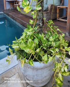 Casa do pé de Jabuticaba