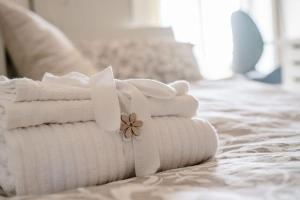 Appartamento Alviano