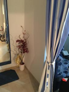 Appartement 3 chambres bords de mer Hammamet