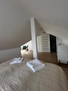 Girios Horizontas - Mara