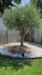 Maisons d'hotes Charming ecolodge with heated pool all year round : photos des chambres