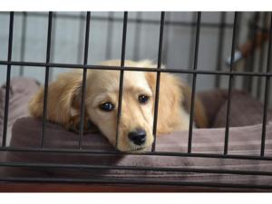 HOTEL felice Osaka Itami Airport - Vacation STAY 53128v - Ubytování bez kategorie ve městě Tojonaka