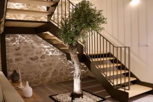 Can Olivera Lujo rural con piscina climatizada