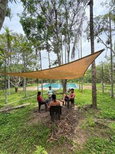 Dandeli Jungle Villa Resort