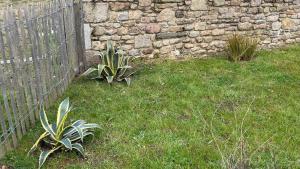 Maisons de vacances Bleiz Mor : photos des chambres