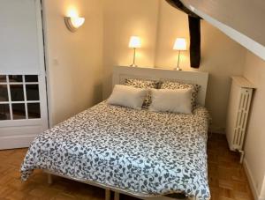 Appartements Grand appartement de charme vieux Chinon 11 personnes : photos des chambres