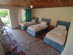 Thethi 360 grade - Camping & Rooms