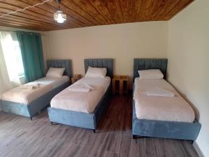 Thethi 360 grade - Camping & Rooms