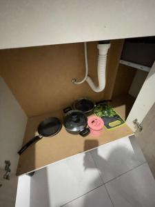 VivaVida boungavilli 01