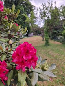 Auf der Ried26 - Frisch renoviertes, charmantes Familien-Appartement mit 3 Schlafräumen