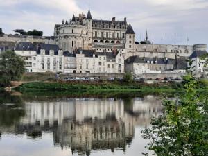 Grand T2 centre historique d Amboise-bords de Loire