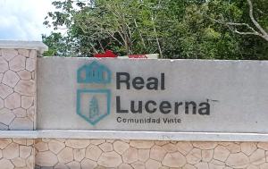 RoMig Travel & Properties