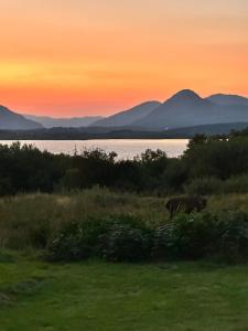 Tievemore - Connemara Bayfront Retreat