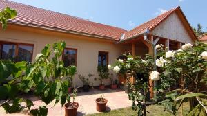 Nyuszifül Vendégház Pécs